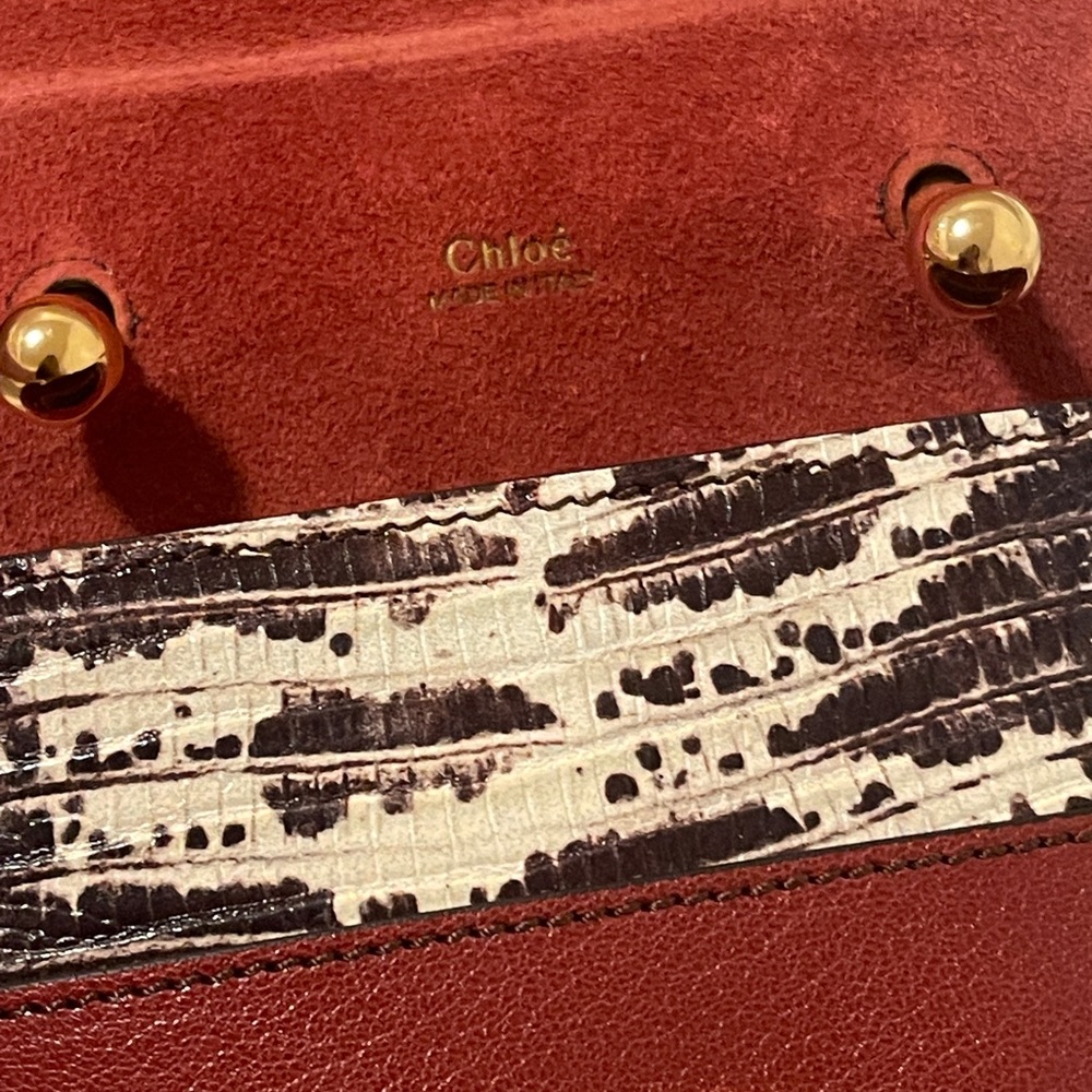 Chloe Mini Bag with Gold Handle - Picture 5 of 14